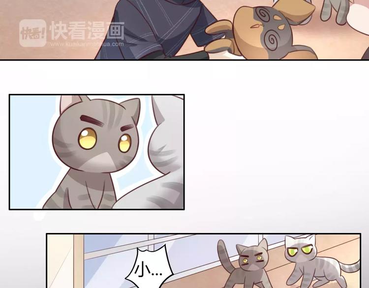 《猫爪之下》漫画最新章节第29话 花花身份被发现免费下拉式在线观看章节第【21】张图片