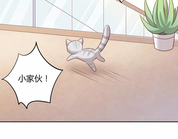 《猫爪之下》漫画最新章节第29话 花花身份被发现免费下拉式在线观看章节第【24】张图片