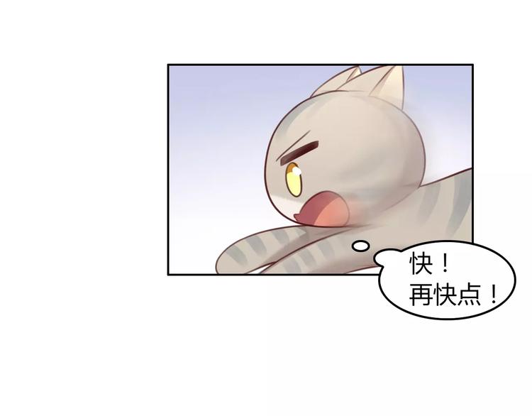 《猫爪之下》漫画最新章节第29话 花花身份被发现免费下拉式在线观看章节第【27】张图片