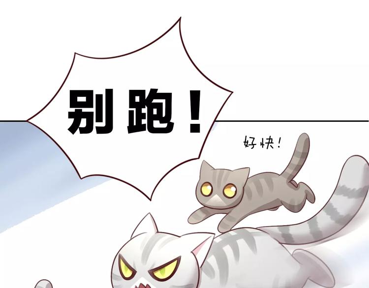 《猫爪之下》漫画最新章节第29话 花花身份被发现免费下拉式在线观看章节第【28】张图片