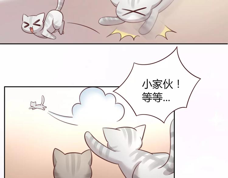 《猫爪之下》漫画最新章节第29话 花花身份被发现免费下拉式在线观看章节第【30】张图片