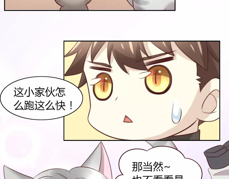 《猫爪之下》漫画最新章节第29话 花花身份被发现免费下拉式在线观看章节第【31】张图片