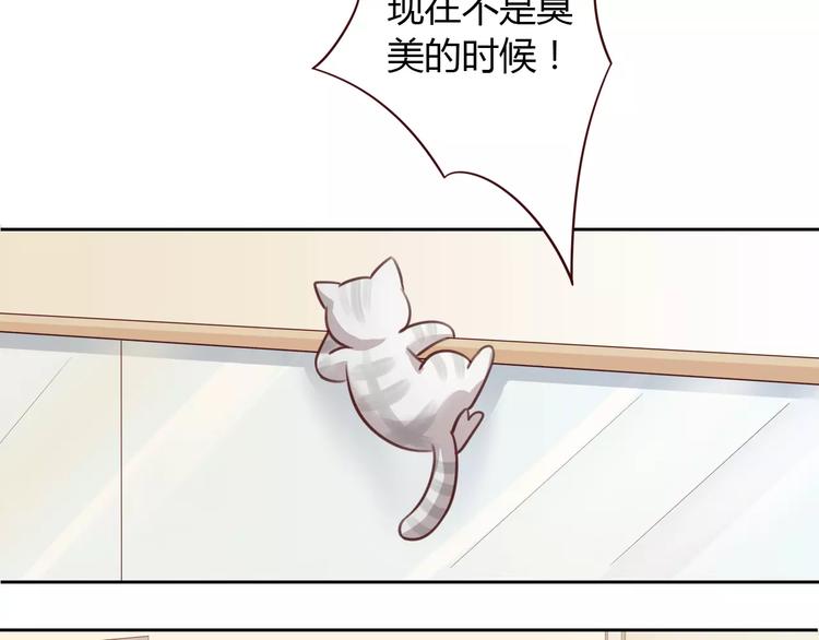 《猫爪之下》漫画最新章节第29话 花花身份被发现免费下拉式在线观看章节第【34】张图片