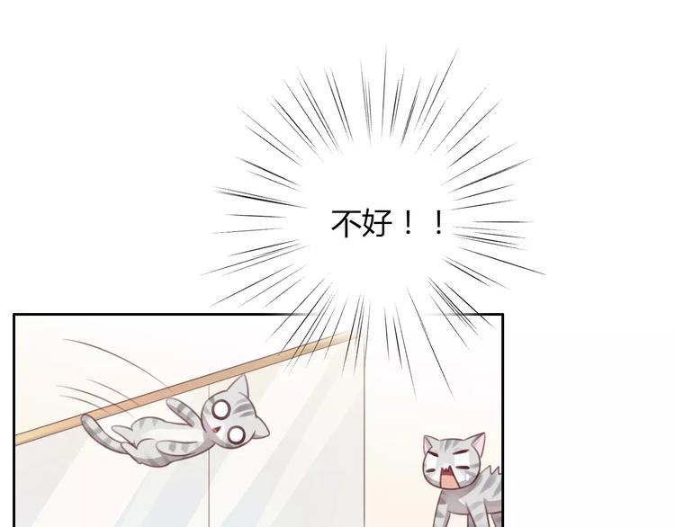 《猫爪之下》漫画最新章节第29话 花花身份被发现免费下拉式在线观看章节第【37】张图片