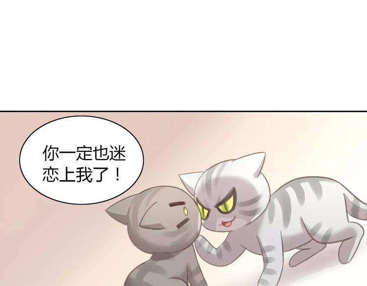 《猫爪之下》漫画最新章节第29话 花花身份被发现免费下拉式在线观看章节第【5】张图片