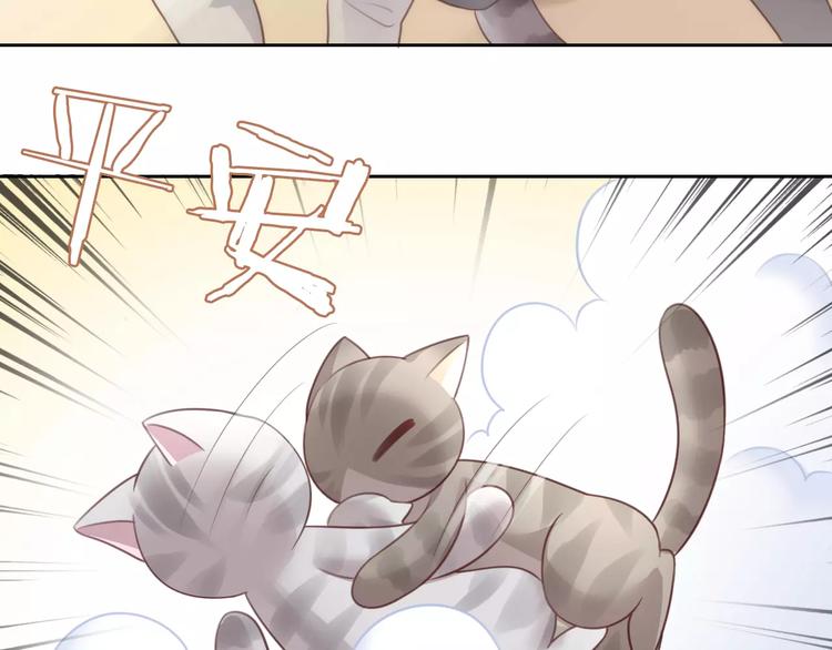 《猫爪之下》漫画最新章节第29话 花花身份被发现免费下拉式在线观看章节第【53】张图片