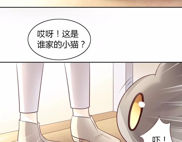 《猫爪之下》漫画最新章节第29话 花花身份被发现免费下拉式在线观看章节第【65】张图片