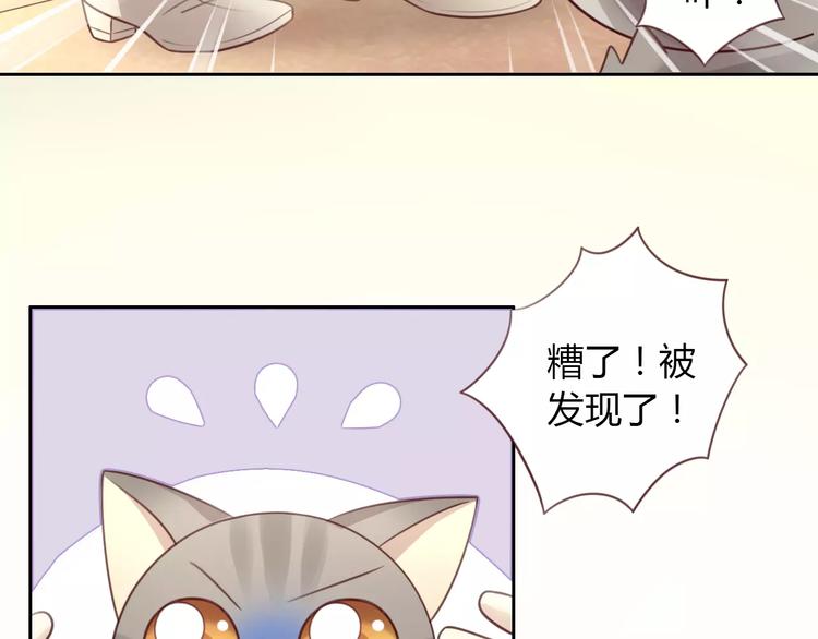 《猫爪之下》漫画最新章节第29话 花花身份被发现免费下拉式在线观看章节第【66】张图片