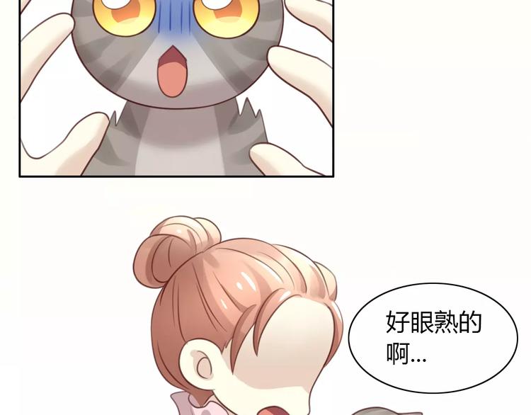 《猫爪之下》漫画最新章节第29话 花花身份被发现免费下拉式在线观看章节第【67】张图片