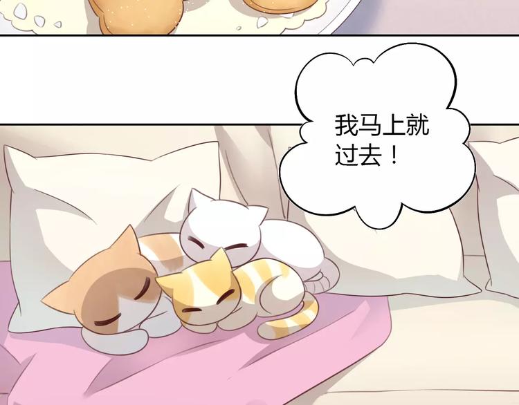 《猫爪之下》漫画最新章节第30话 即将团聚免费下拉式在线观看章节第【10】张图片