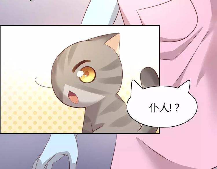 《猫爪之下》漫画最新章节第30话 即将团聚免费下拉式在线观看章节第【51】张图片