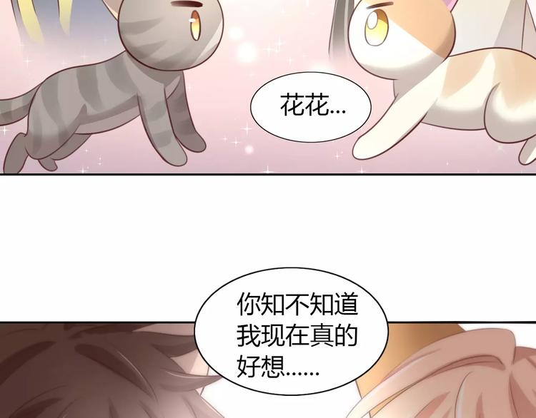 《猫爪之下》漫画最新章节第30话 即将团聚免费下拉式在线观看章节第【56】张图片