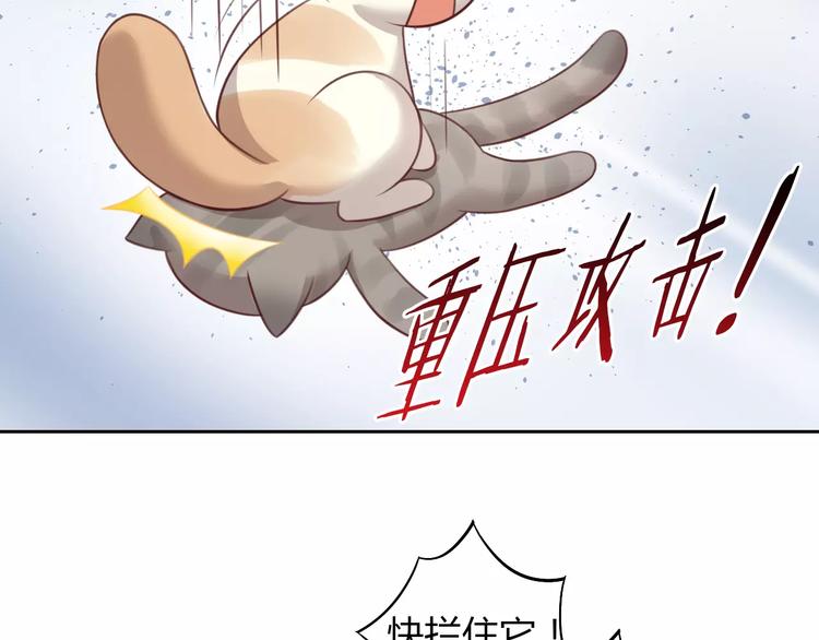 《猫爪之下》漫画最新章节第30话 即将团聚免费下拉式在线观看章节第【62】张图片