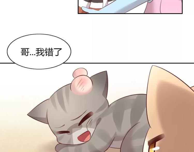 《猫爪之下》漫画最新章节第30话 即将团聚免费下拉式在线观看章节第【64】张图片