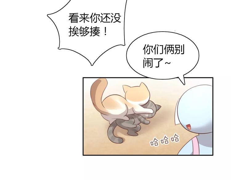 《猫爪之下》漫画最新章节第30话 即将团聚免费下拉式在线观看章节第【70】张图片