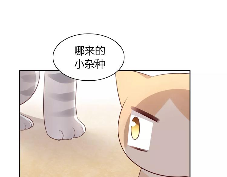 《猫爪之下》漫画最新章节第30话 即将团聚免费下拉式在线观看章节第【71】张图片