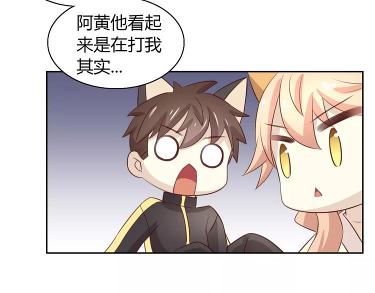 《猫爪之下》漫画最新章节第30话 即将团聚免费下拉式在线观看章节第【76】张图片