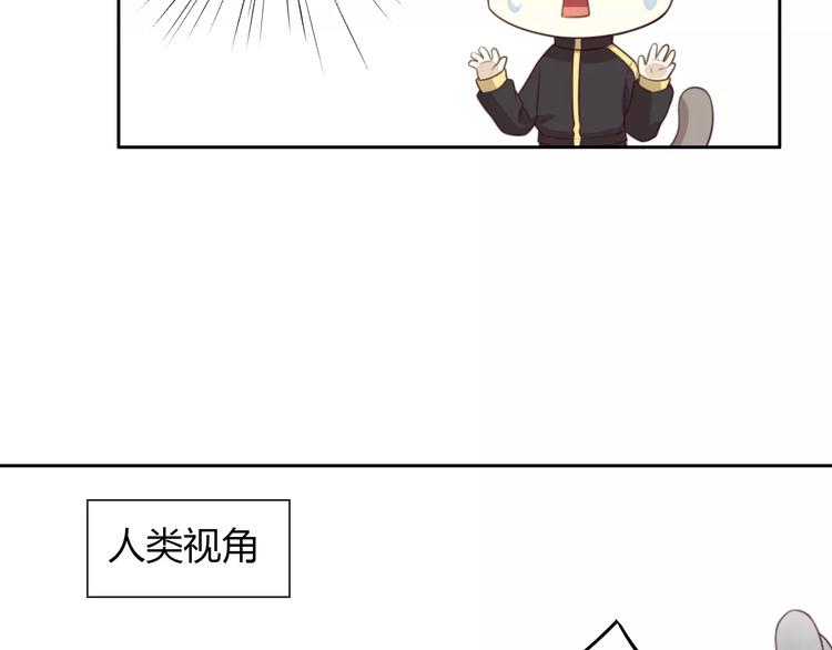 《猫爪之下》漫画最新章节第31话 再见啦疾风免费下拉式在线观看章节第【26】张图片