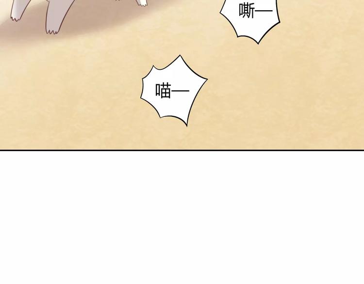 《猫爪之下》漫画最新章节第31话 再见啦疾风免费下拉式在线观看章节第【28】张图片