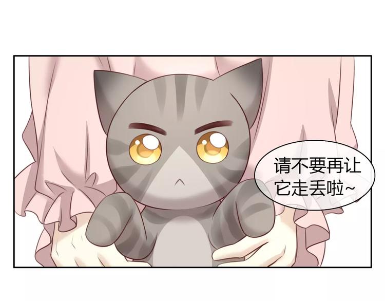 《猫爪之下》漫画最新章节第31话 再见啦疾风免费下拉式在线观看章节第【39】张图片