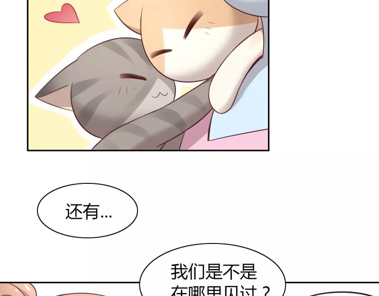 《猫爪之下》漫画最新章节第31话 再见啦疾风免费下拉式在线观看章节第【41】张图片