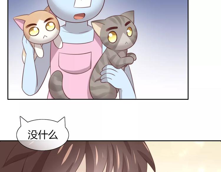 《猫爪之下》漫画最新章节第31话 再见啦疾风免费下拉式在线观看章节第【75】张图片