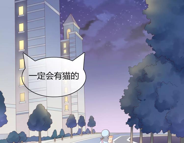 《猫爪之下》漫画最新章节第31话 再见啦疾风免费下拉式在线观看章节第【78】张图片