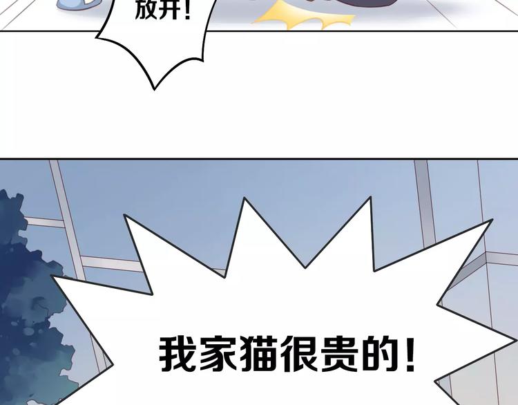 《猫爪之下》漫画最新章节第31话 再见啦疾风免费下拉式在线观看章节第【81】张图片