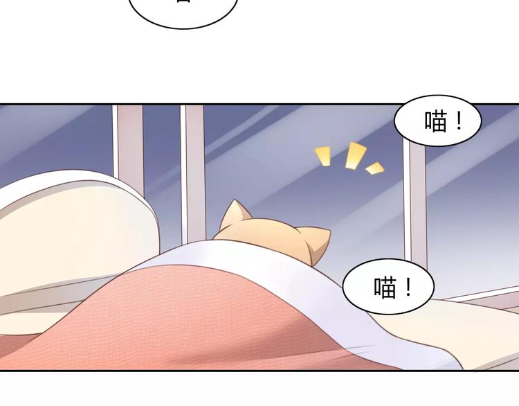 《猫爪之下》漫画最新章节第32话 暖暖的家免费下拉式在线观看章节第【65】张图片