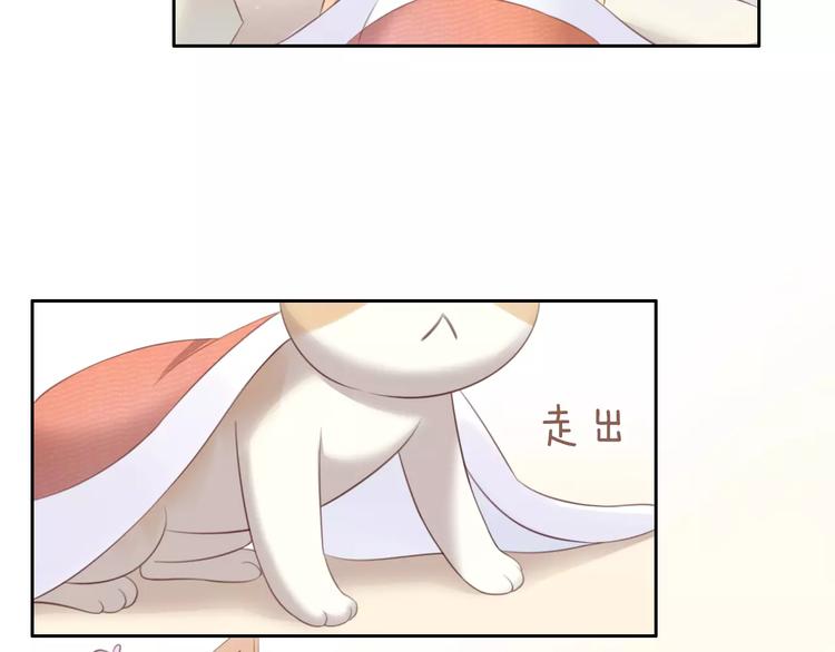 《猫爪之下》漫画最新章节第32话 暖暖的家免费下拉式在线观看章节第【70】张图片