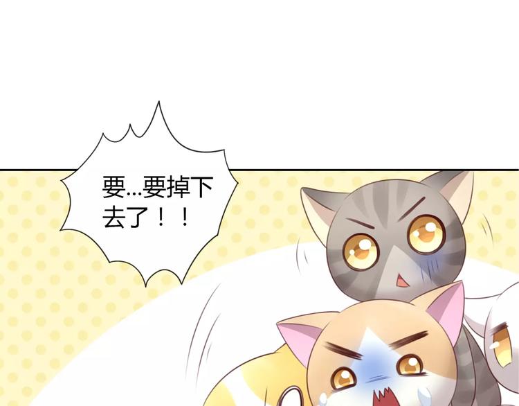 《猫爪之下》漫画最新章节第32话 暖暖的家免费下拉式在线观看章节第【84】张图片