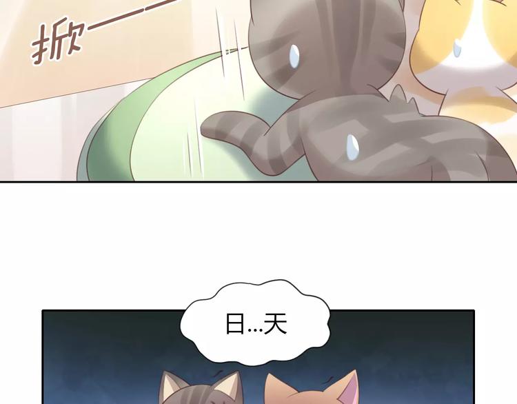 《猫爪之下》漫画最新章节第33话 下雪啦免费下拉式在线观看章节第【12】张图片