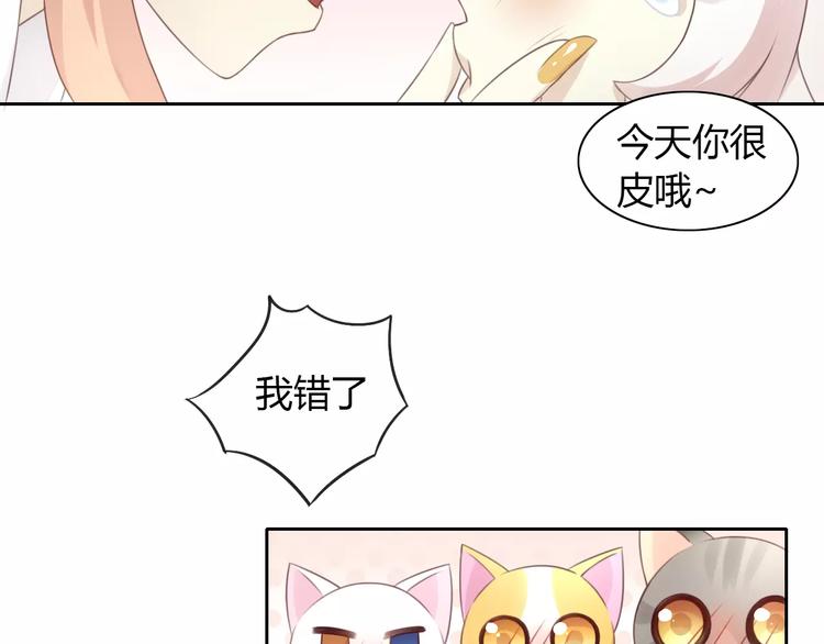 《猫爪之下》漫画最新章节第33话 下雪啦免费下拉式在线观看章节第【69】张图片