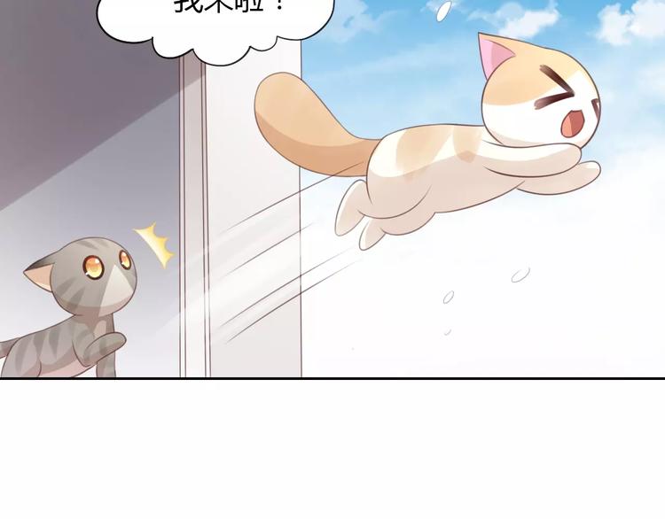 《猫爪之下》漫画最新章节第33话 下雪啦免费下拉式在线观看章节第【80】张图片