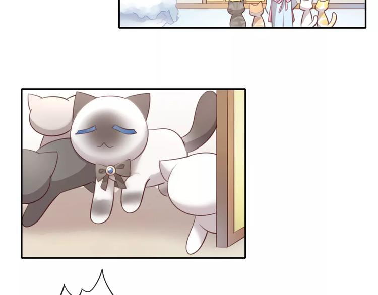 《猫爪之下》漫画最新章节第34话 猫执事（上）免费下拉式在线观看章节第【24】张图片