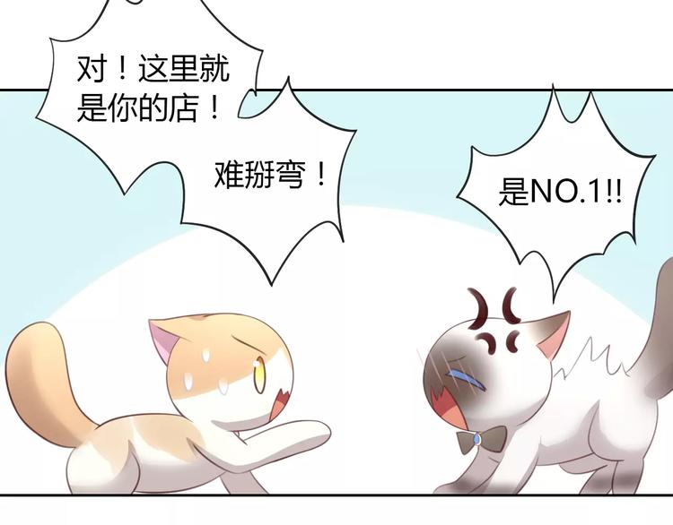 《猫爪之下》漫画最新章节第34话 猫执事（上）免费下拉式在线观看章节第【25】张图片