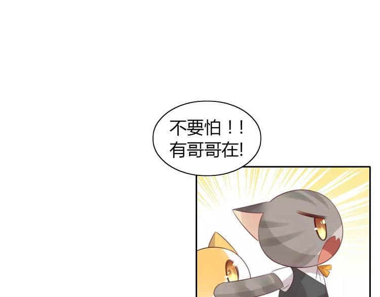 《猫爪之下》漫画最新章节第35话 猫执事（下）免费下拉式在线观看章节第【12】张图片