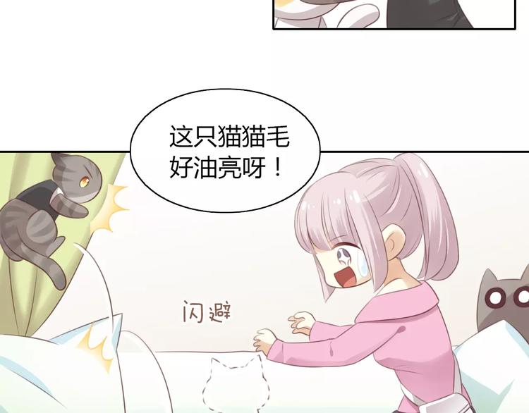 《猫爪之下》漫画最新章节第35话 猫执事（下）免费下拉式在线观看章节第【13】张图片