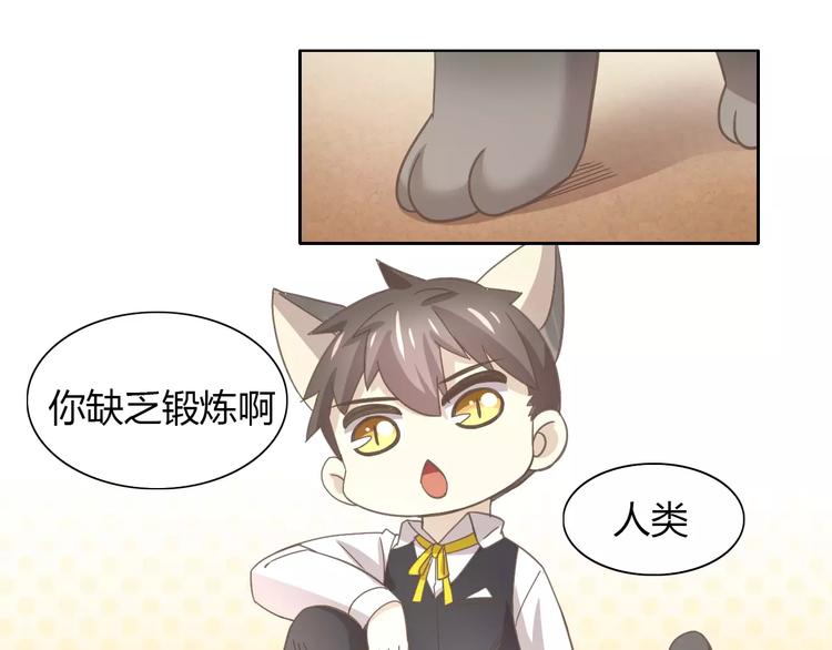 《猫爪之下》漫画最新章节第35话 猫执事（下）免费下拉式在线观看章节第【19】张图片