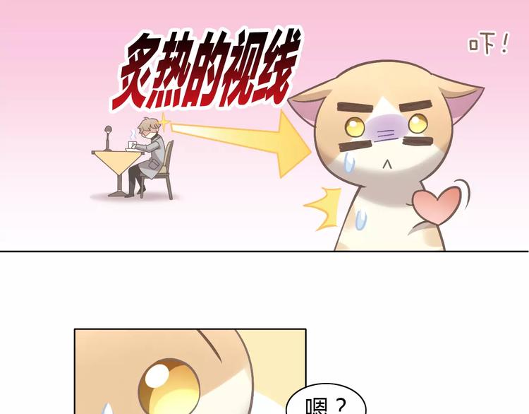 《猫爪之下》漫画最新章节第35话 猫执事（下）免费下拉式在线观看章节第【35】张图片