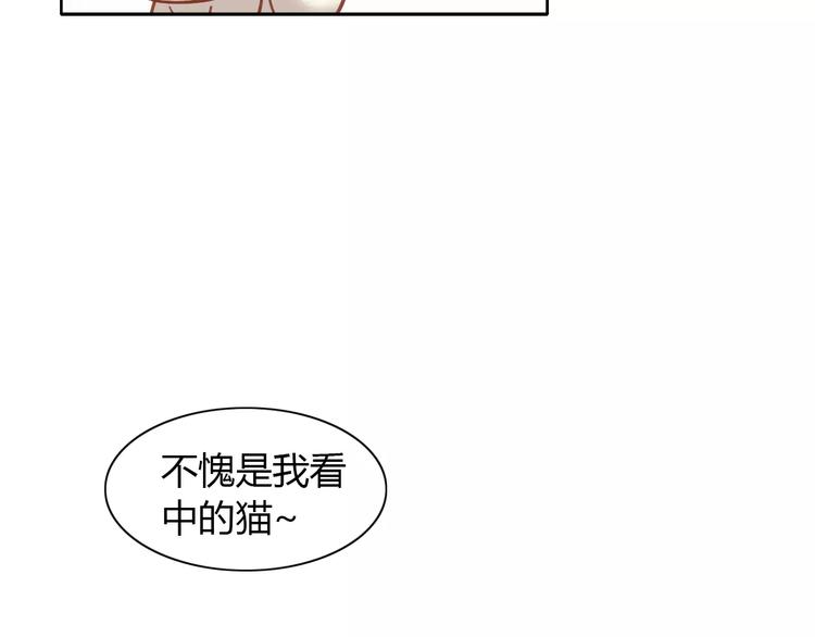 《猫爪之下》漫画最新章节第35话 猫执事（下）免费下拉式在线观看章节第【73】张图片