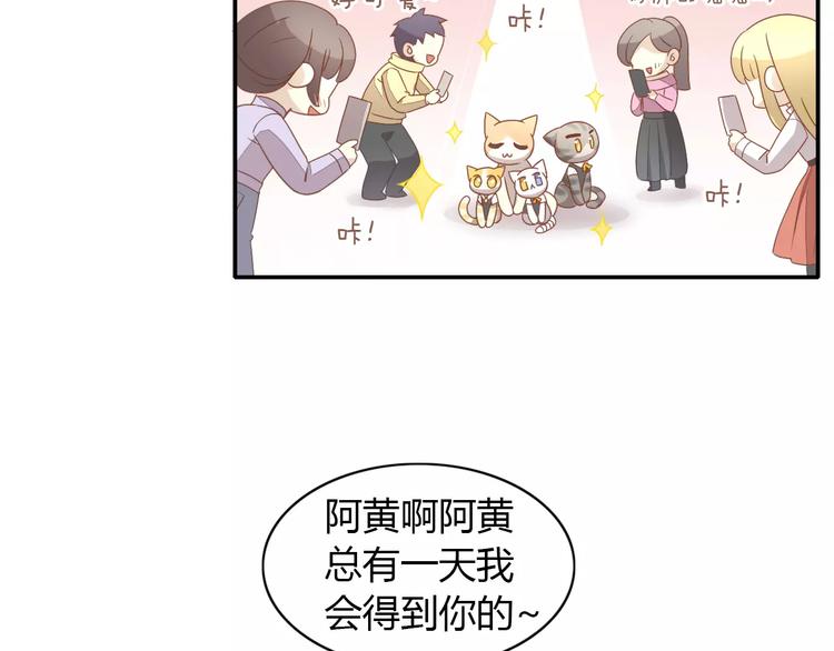 《猫爪之下》漫画最新章节第35话 猫执事（下）免费下拉式在线观看章节第【80】张图片