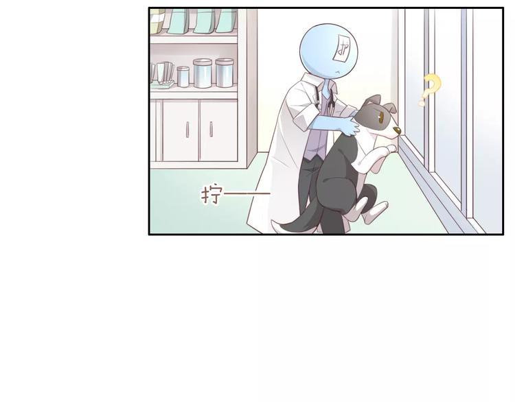 《猫爪之下》漫画最新章节第36话  为什么不爱我！免费下拉式在线观看章节第【17】张图片