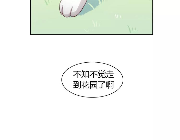 《猫爪之下》漫画最新章节第36话  为什么不爱我！免费下拉式在线观看章节第【31】张图片