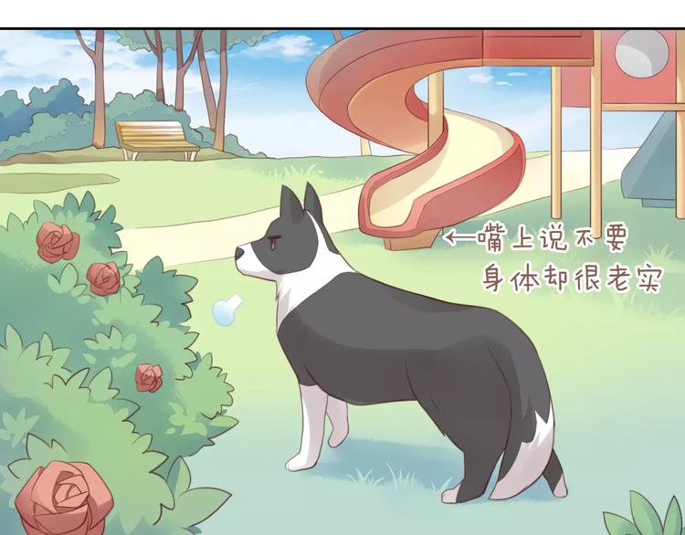 《猫爪之下》漫画最新章节第36话  为什么不爱我！免费下拉式在线观看章节第【32】张图片