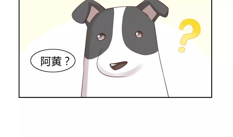 《猫爪之下》漫画最新章节第36话  为什么不爱我！免费下拉式在线观看章节第【66】张图片