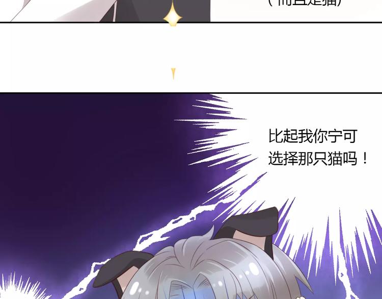 《猫爪之下》漫画最新章节第36话  为什么不爱我！免费下拉式在线观看章节第【69】张图片