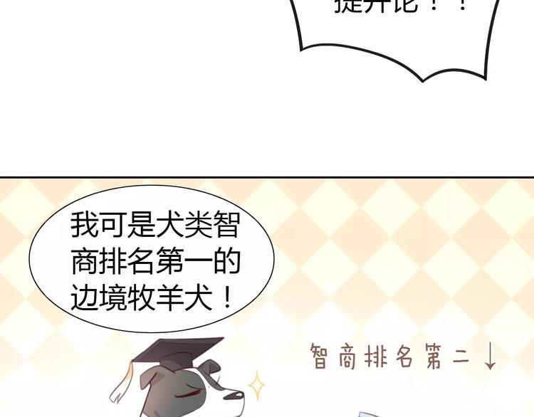 《猫爪之下》漫画最新章节第37话 清醒点！免费下拉式在线观看章节第【13】张图片