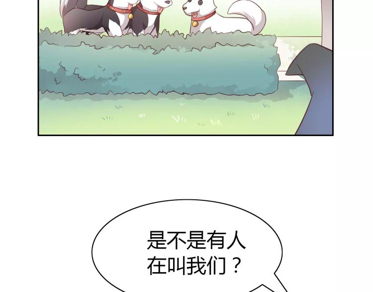 《猫爪之下》漫画最新章节第37话 清醒点！免费下拉式在线观看章节第【15】张图片