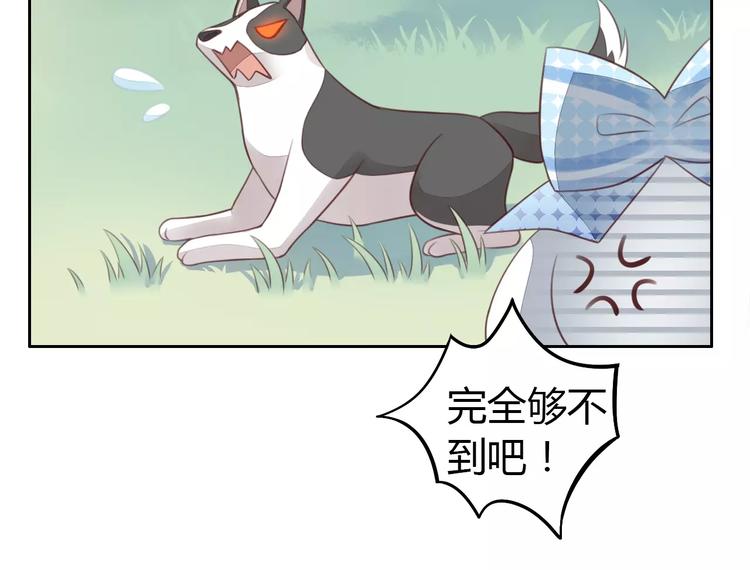 《猫爪之下》漫画最新章节第37话 清醒点！免费下拉式在线观看章节第【30】张图片